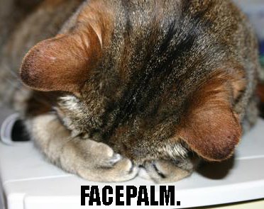 facepalm cat